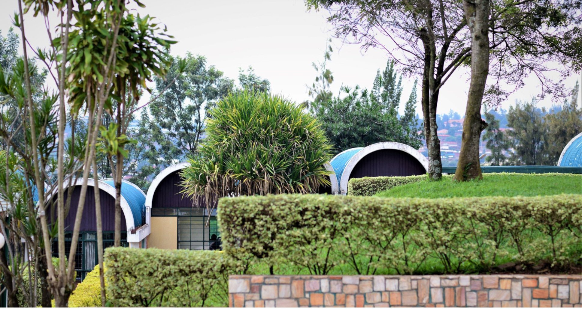 Welcome to our Services